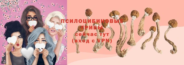 винт Белоозёрский