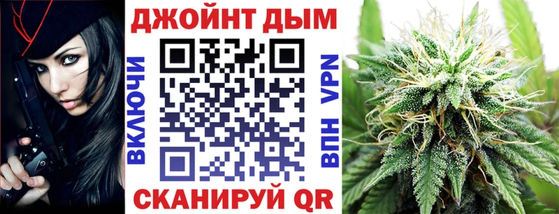 Каннабис SATIVA & INDICA  как найти   Нерчинск 